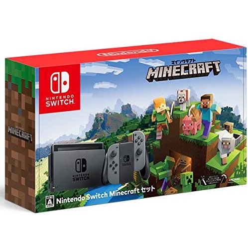 Nintendo Switch Minecraft Set